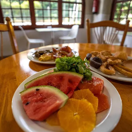 Coral Teide Mar Puerto de la Cruz (Tenerife)